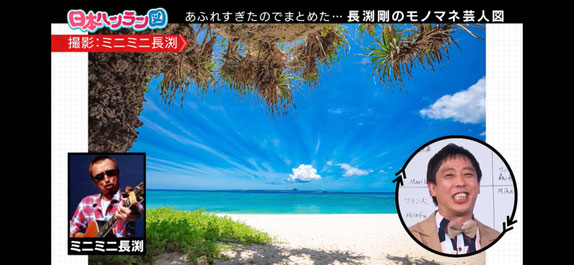 沖縄家族写真も私ミニミニがお撮りします