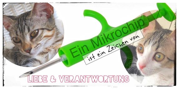 Eine Katze ohne Mikrochip ist ein Nobody, ein Mikrochip ist ein Zeichen von Liebe und Verantwortung