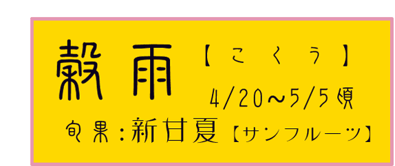 穀雨【こくう】アイコン　旬果：新甘夏【サンフルーツ】