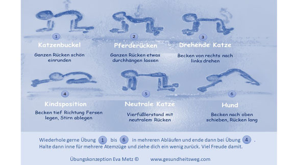Yoga Heidelberg Rückenyoga Flow Heidelberg Übung für zu Hause Yogastudio Heidelberg Pilatesstudio Heidelberg Yogakurse Heidelberg Yogalehrerin Eva Metz