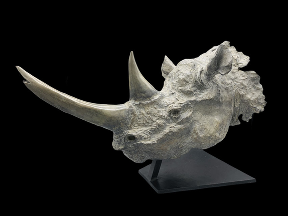 Bronze animalier, Sculpture, Bronze, rhinocéros, Sophie Gérault, art animalier