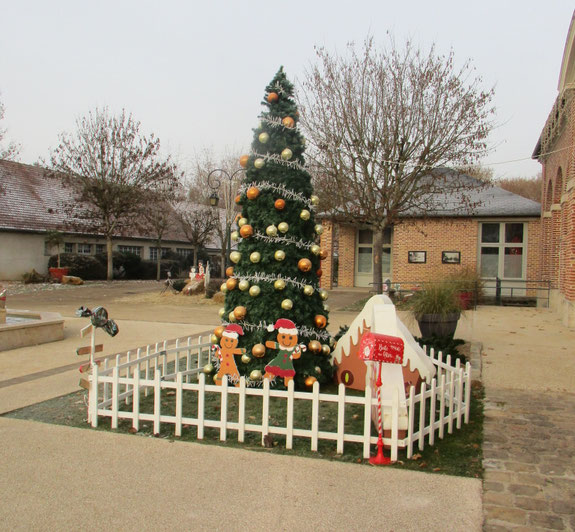 Sapin devant l'Orangerie