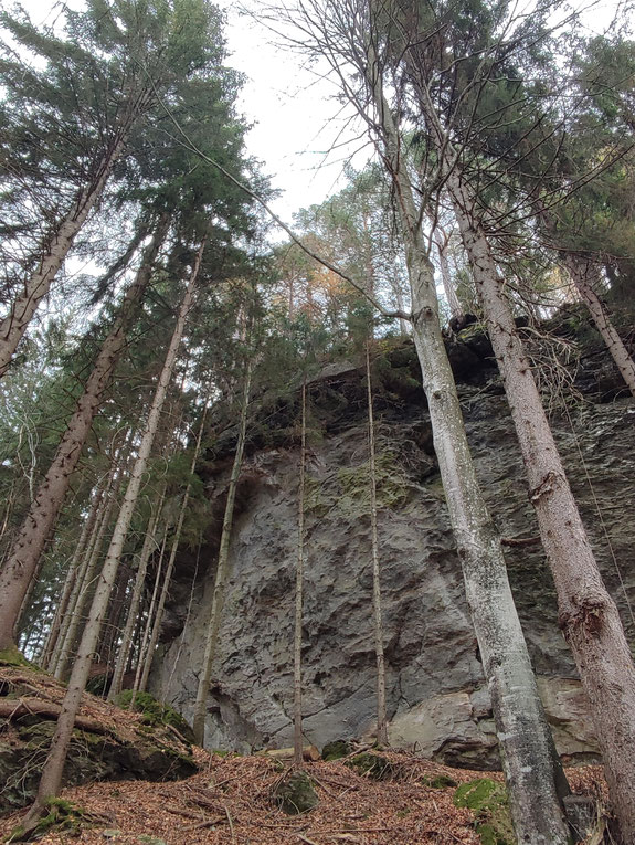 Felsen im Wald üben eine große Anziehungskraft aus