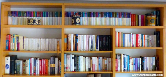 Libros organizados - AorganiZarte