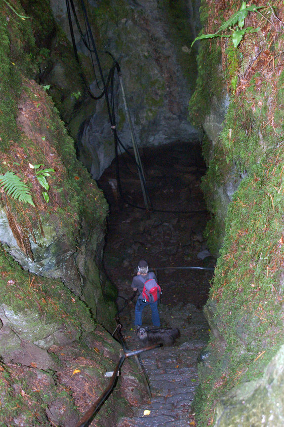 jetzt sind wir in der Pigeon's Hole genannten Höhle angekommen