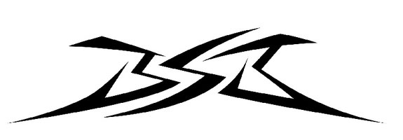 B.S.B Ultimate Fishing Weapon