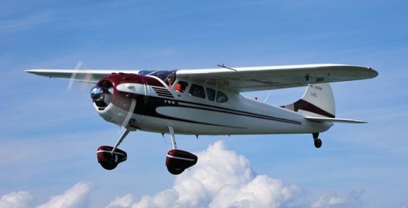 Cessna C195B - N3081B