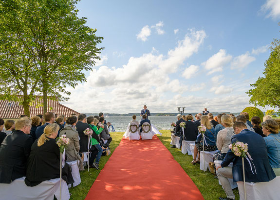 Lingen Archives Ihre Hochzeitstauben Die Profis Fur Ihre Hochzeit
