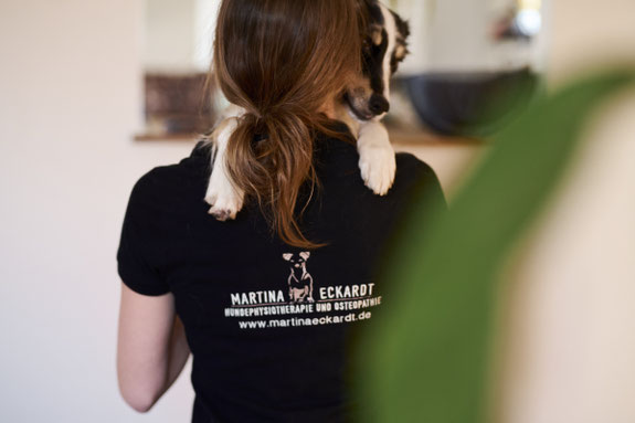  Physiotherapie, Osteopathie, Akupunktur, Sporthundetherapie, Dorn Therapie und Breuss Massage für Ihren Vierbeiner Kontakt termin buchen Martina Eckardt Bad Kreuznach hundephysio Eckart eckhart Eckhard 