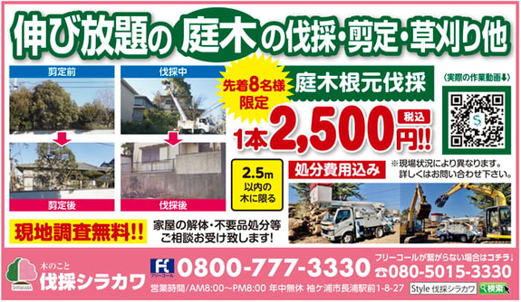 生活情報誌Style 2026年7月24日号　伐採シラカワ