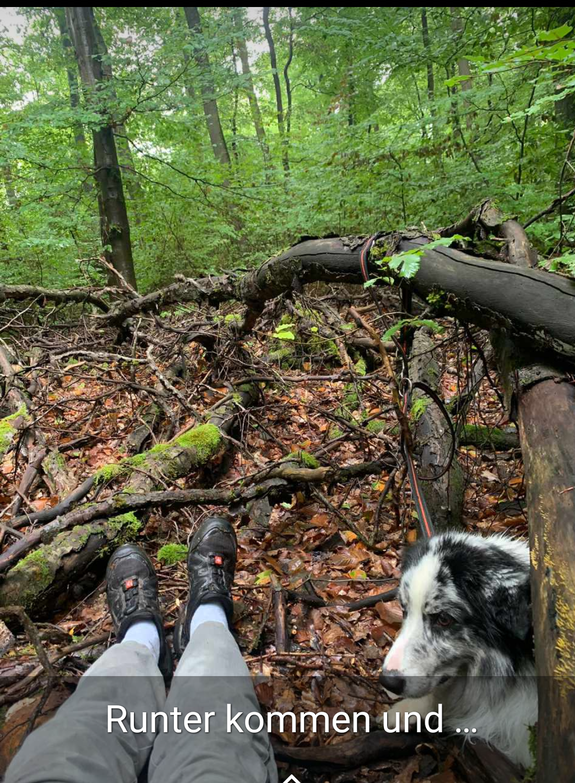 Füße ausstecken und gemeinsam mit deinem Hund die Ruhe im Wald genießen