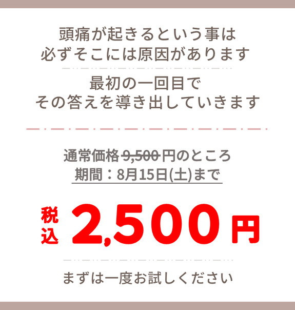 通常価格9500円のところ、初回は特別価格の税込2500円になります。まずは一度お試しください。