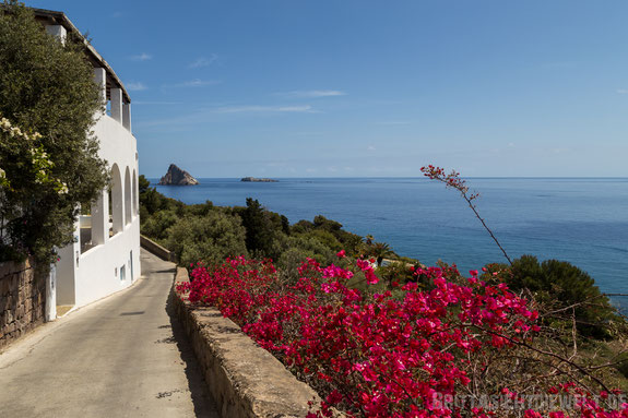 Panarea, liparische, Inseln, tipps, bougainvillea, straße, meer, dattilo, isola