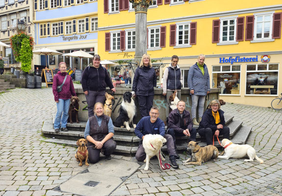 Gruppe von Menschen mit Hunden verschiedener Rassen sitzt und steht um einen Brunnen auf dem Holzmarkt in Tübingen, Gebäude mit Geschäften im Hintergrund.