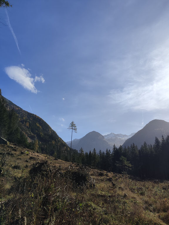 Die Prossau: Traumhafte Ausblicke auf die umliegenden Berge