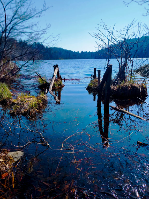 Der Saissersee: Idyllisch gelegen und sehr ruhig