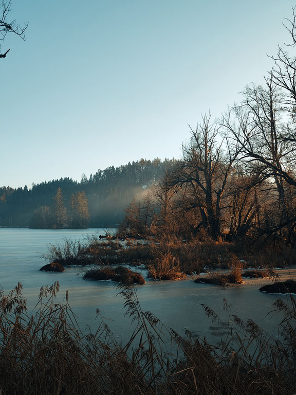 Die Natur lehrt uns das Loslassen