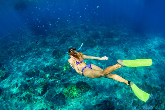 Unterwasser Guadeloupe, Karibik, Karibische Inseln