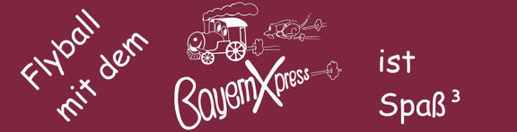 bayernxpresss Webseite!