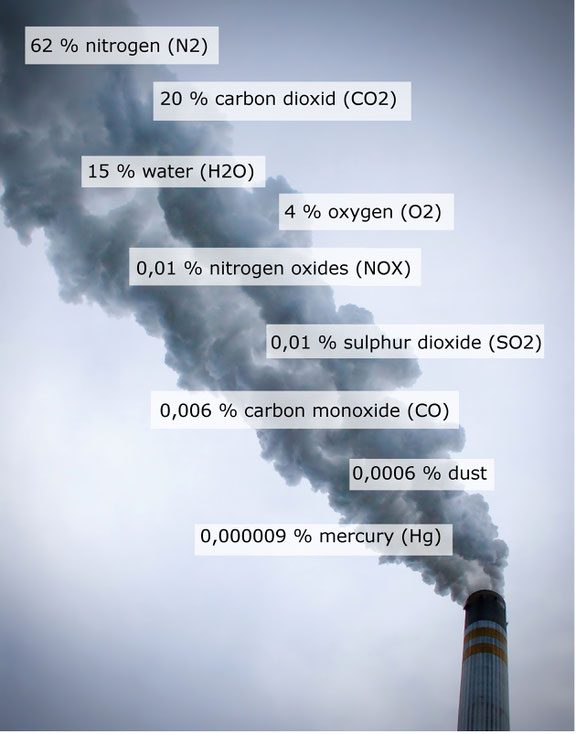 Emissions of a Lignite Power Plant