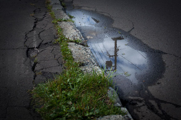 水面に映る世界