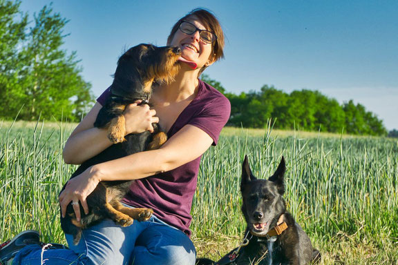 GUNDI - Gesund & Intelligent | Hundeernährungsberatung