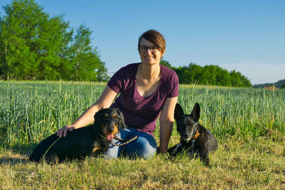 GUNDI - Gesund & Intelligent | Hundeernährungsberatung