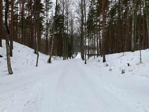 Eine Schneelandschaft in Lettland.