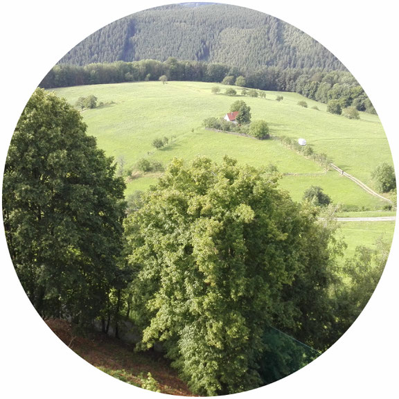Christliche singles über 50