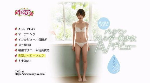 タイトル画面。エンヤみたいなバックミュージックが気になります。