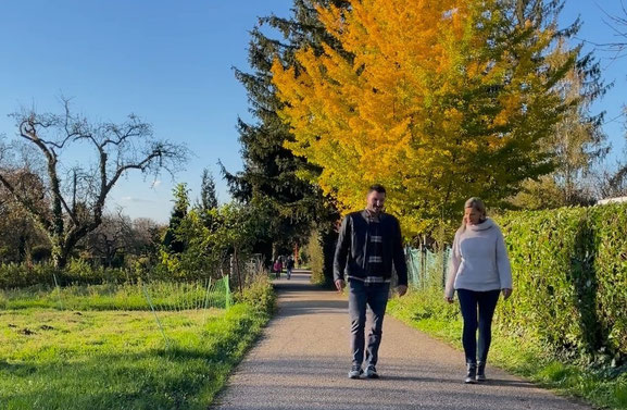 Business Coaching: Walk-and-Talk in der Natur bei Karlsruhe