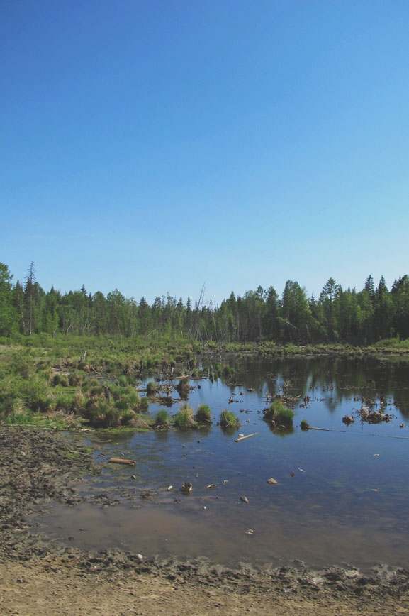 bigousteppes russie sibérie