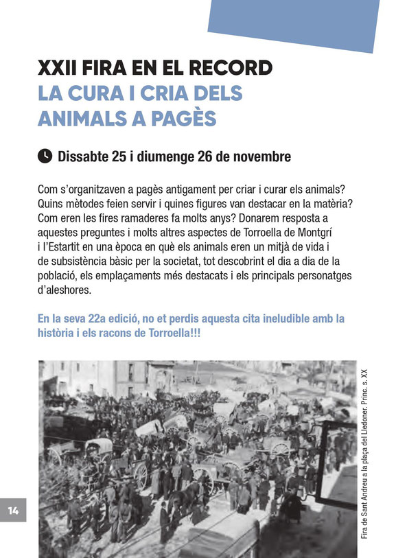 Programa de la Fira de Sant Andreu en Torroella de Montgri