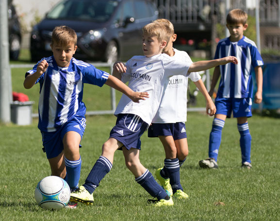 Die U10-Spieler sind mit viel Freude beim Spiel und zeigen sehr gute Fortschritte für eine erfolgreiche Zukunft. © Hepberger