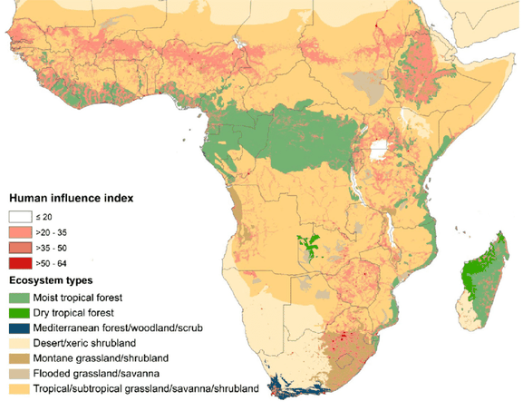 African forest Map