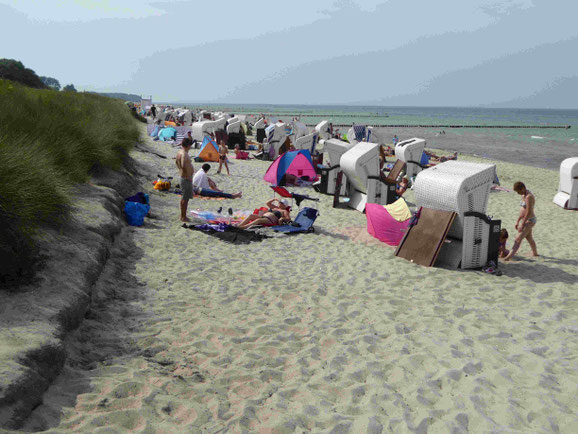 Insel Poel, Badestrand am Schwarzen Busch