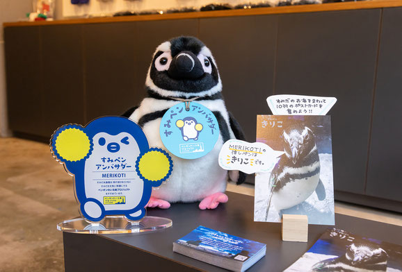 すみだ水族館 ペンギンのいる街プロジェクト 写真