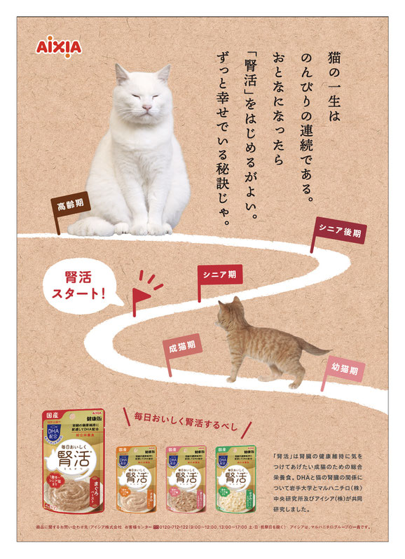 毎日おいしく腎活 [猫の一生編]ポスター画像