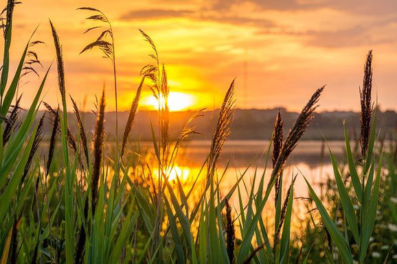 Sonnenaufgang, Hoffnung, Der Healing Code Erfahrungen 