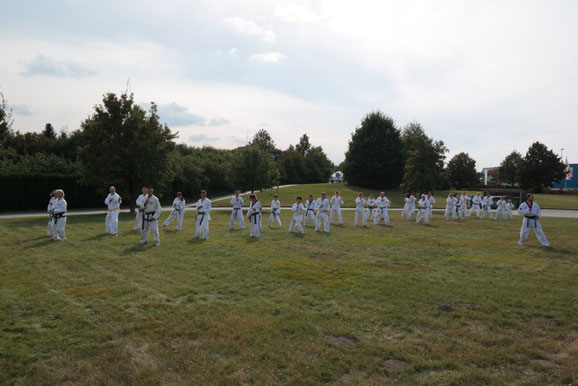Eine Taekwondo-Gruppe steht auf einer Wiese und trainiert im Freien.