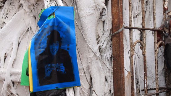 Bags on a tree, Yangon, Myanmar