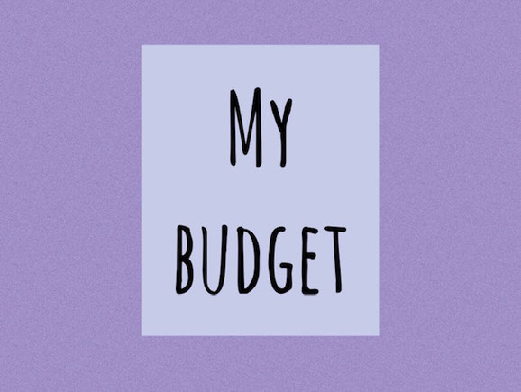 my budget, the domestic economy, budgeting, debt free budget,