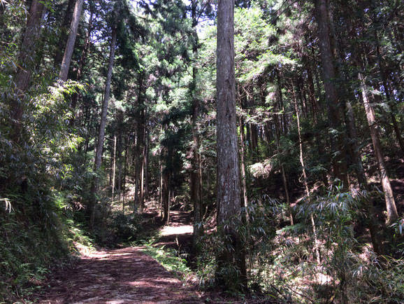 兎田の高城(筆者撮影)