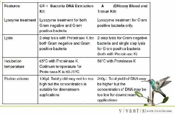 Aufreinigung bakterieller DNA - bis zu 20 µg DNA - gram-negative und