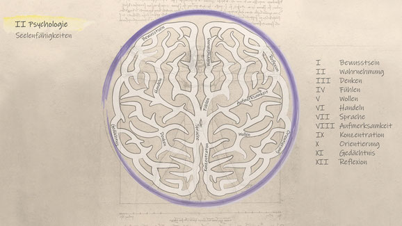 Psychologie Seelentätigkeit