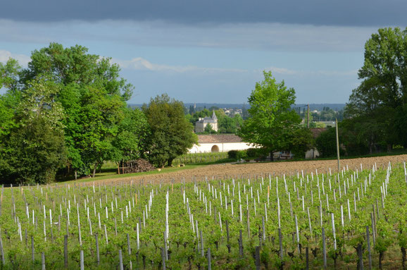 Chateau-Coutet-Saint-Emilion