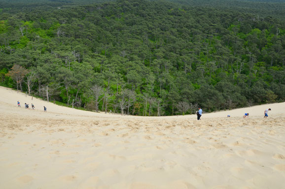 Dune-du-Pilat