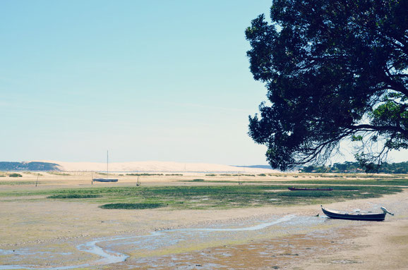 Cap-Ferret