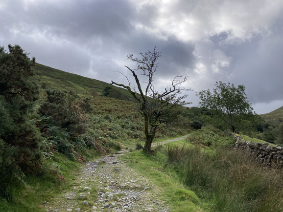 Im Coaching begleite ich Sie auf Wegen durch nicht alltägliches Terrain, wie ich auch unzählige ging - hier oberhalb von Wastwater, Wasdale, Cumbria, UK