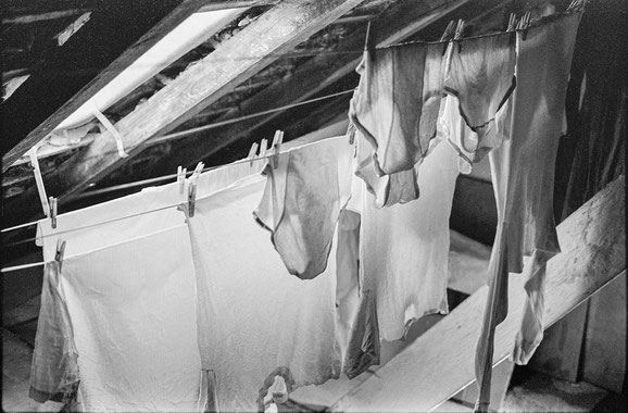 drying at the attic 2 - Trocknen auf dem Speicher © Larry Maglott